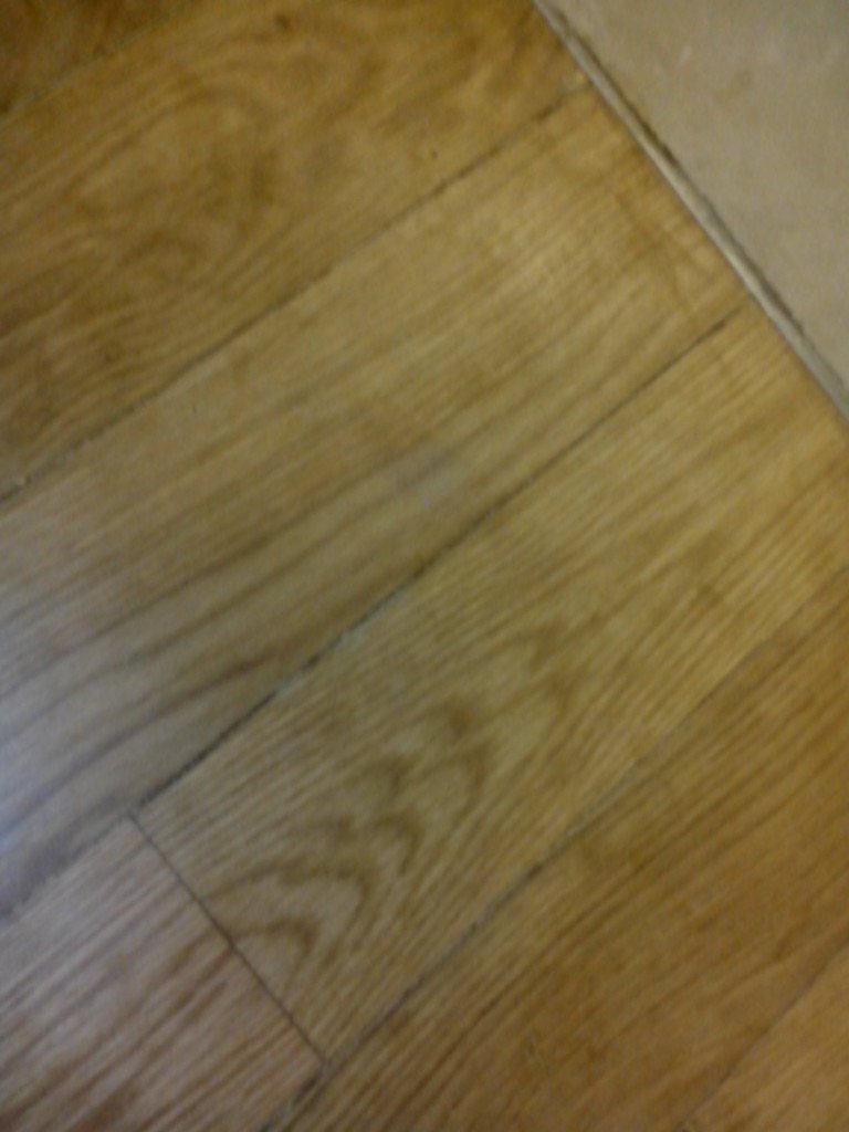 IMG-20130906-WA0044